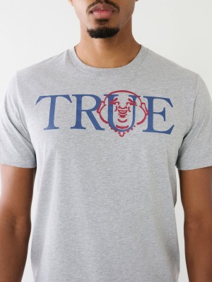 Camiseta True Religion Buddha Logo Gris | 94XEPUZQT