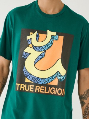 Camiseta True Religion Channel Estampadas Relaxed Marshland | 59PTOQHZS