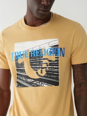 Camiseta True Religion Estampadas Curry | 69NMRSAXF