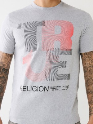 Camiseta True Religion Forro Logo Gris | 17TAKYVRH