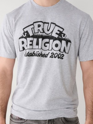 Camiseta True Religion Relaxed Gris | 50OBKIQJV