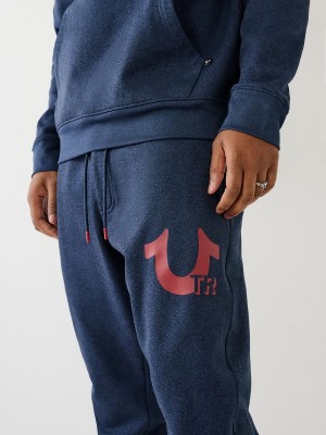 Pantalones Jogger True Religion Horseshoe Logo Navy/Red | 65FVAHCJE