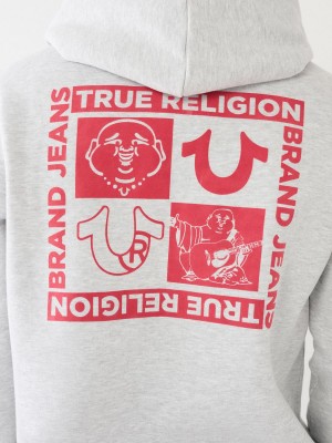 Sudadera True Religion Logo Zip Gris | 01GRSHDMK