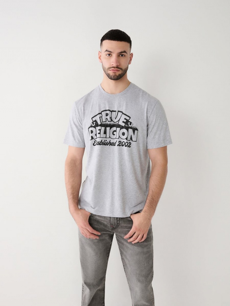 Camiseta True Religion Relaxed Gris | 50OBKIQJV