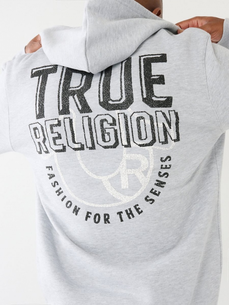 Sudadera True Religion Logo Zip Gris | 31AUOCDWZ