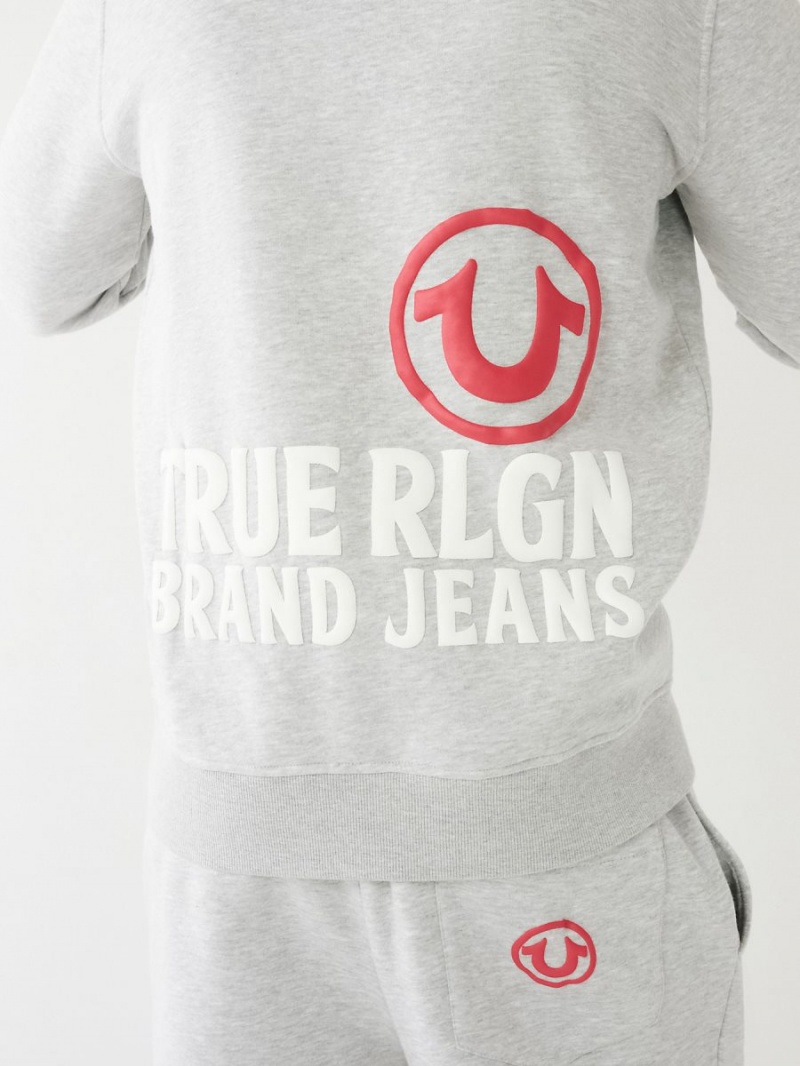 Sudadera con Capucha True Religion Puff Trbj Zip Up Gris | 92LRKJQAP