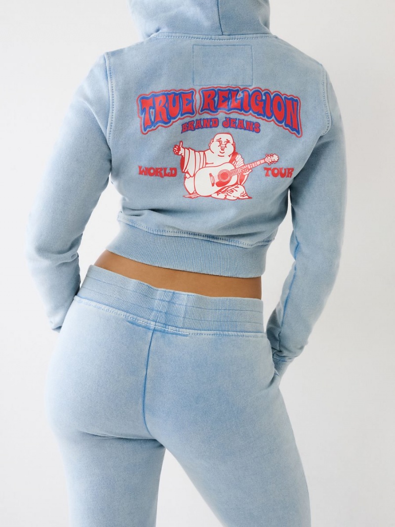 Sudadera con Capucha True Religion Washed Big T Logo Crop Pacific | 20UGTZIVX